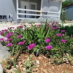 Fjaka Camp 3* פאקוסטאן