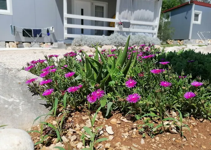 Fjaka Camp 3* Pakostane