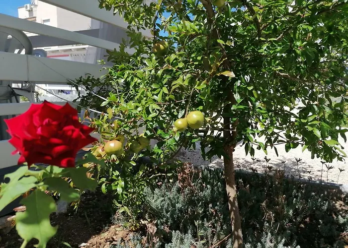 Vendégház Fjaka Camp