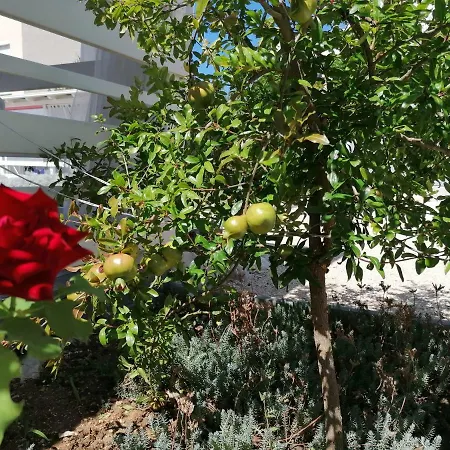 Πανσιόν Fjaka Camp